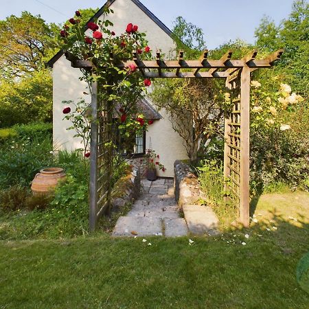 Sundowner - Axminster Devon Villa Ngoại thất bức ảnh